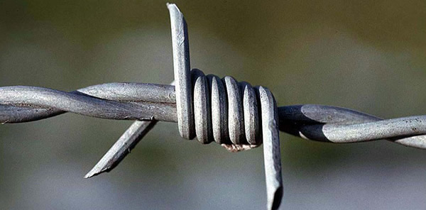 iowa barbed wire