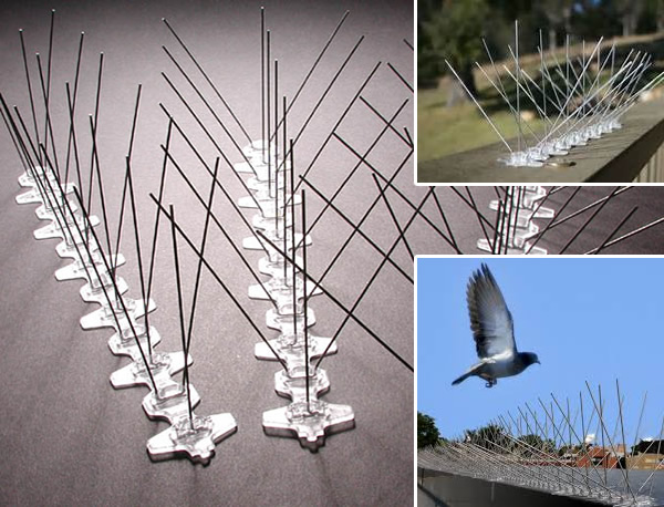 Bird Spikes, Bird Deterrent & Control Spikes